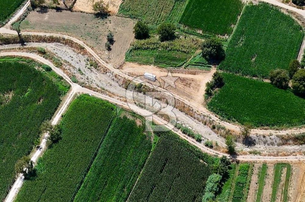 CB MARİNA'DAN YATAĞAN OVASINDA HOBİ BAHÇESİ FIRSAT SATILIK TARLA