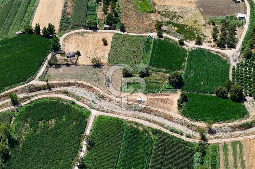 CB MARİNA'DAN YATAĞAN OVASINDA HOBİ BAHÇESİ FIRSAT SATILIK TARLA