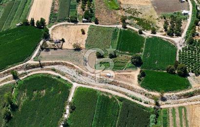 CB MARİNA'DAN YATAĞAN OVASINDA HOBİ BAHÇESİ FIRSAT SATILIK TARLA