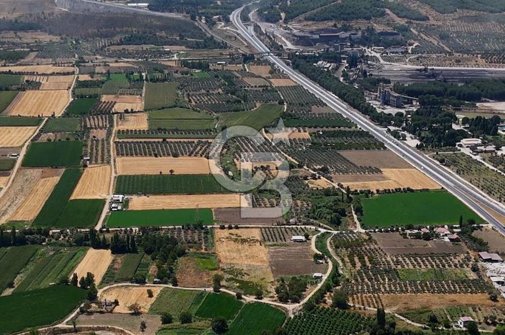 CB MARİNA'DAN YATAĞAN OVASINDA HOBİ BAHÇESİ FIRSAT SATILIK TARLA