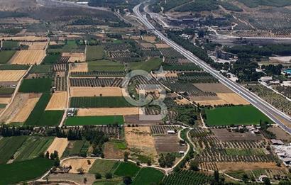 CB MARİNA'DAN YATAĞAN OVASINDA HOBİ BAHÇESİ FIRSAT SATILIK TARLA