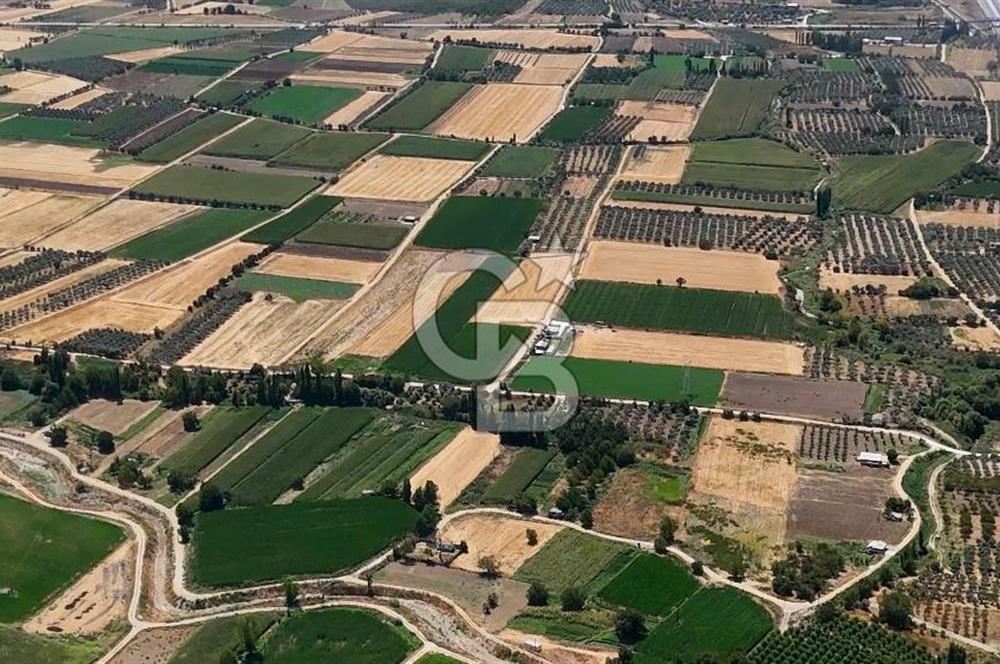 CB MARİNA'DAN YATAĞAN OVASINDA HOBİ BAHÇESİ FIRSAT SATILIK TARLA