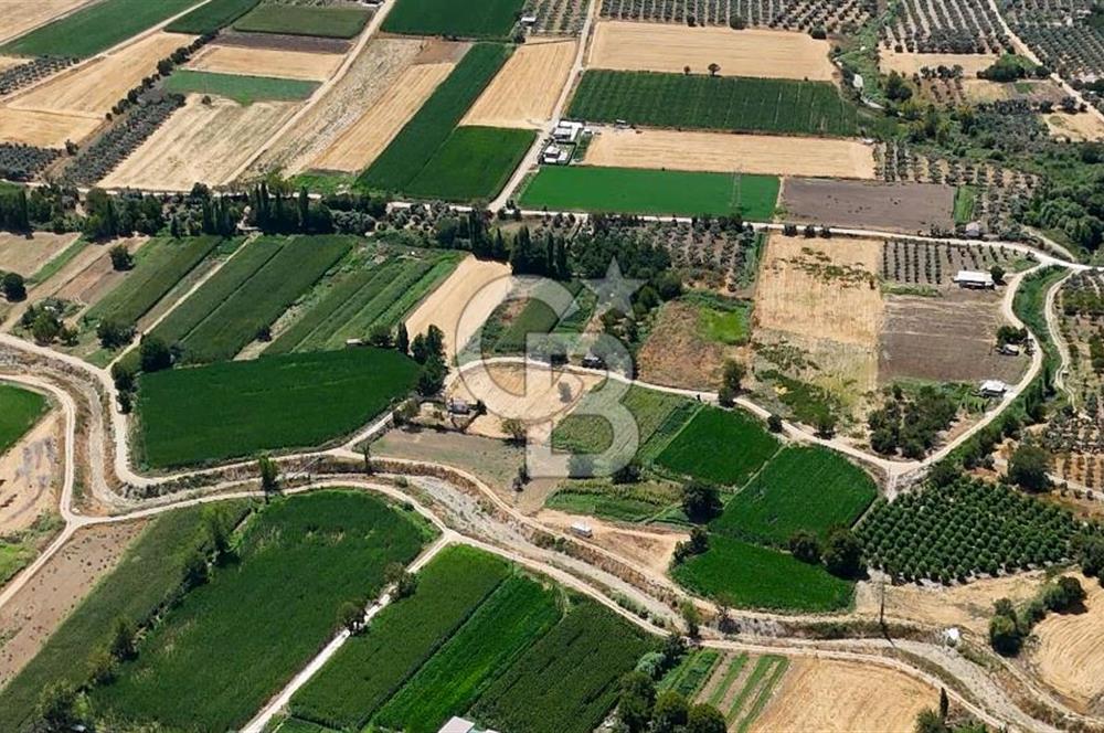 CB MARİNA'DAN YATAĞAN OVASINDA HOBİ BAHÇESİ FIRSAT SATILIK TARLA