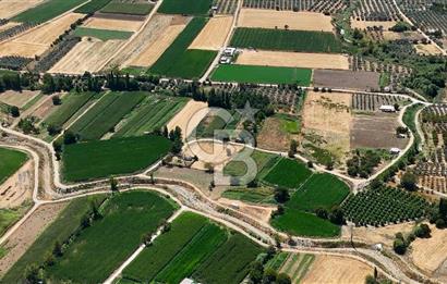 CB MARİNA'DAN YATAĞAN OVASINDA HOBİ BAHÇESİ FIRSAT SATILIK TARLA