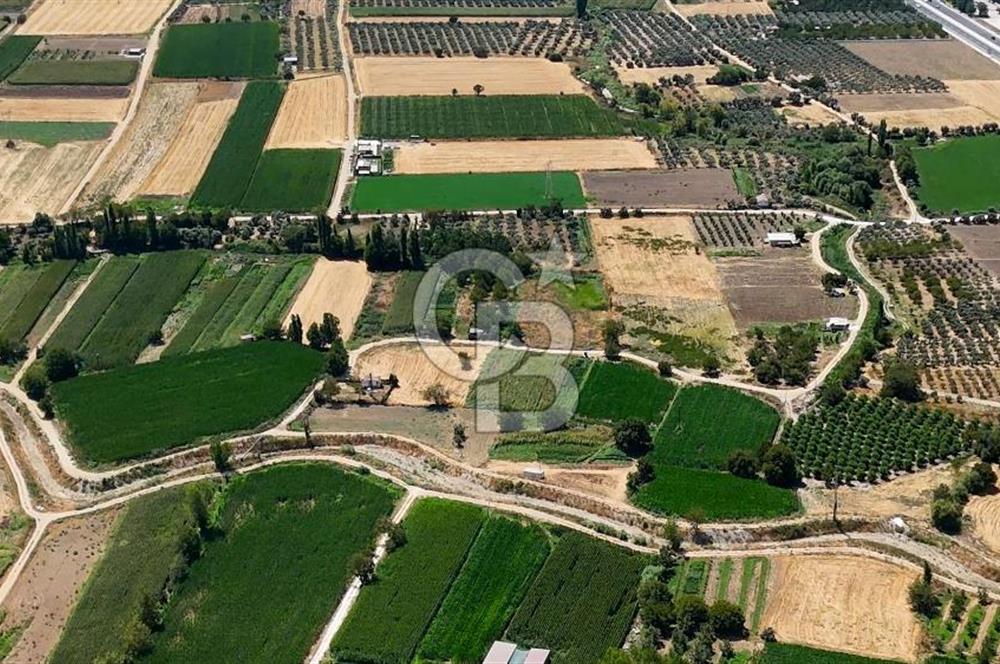 CB MARİNA'DAN YATAĞAN OVASINDA HOBİ BAHÇESİ FIRSAT SATILIK TARLA