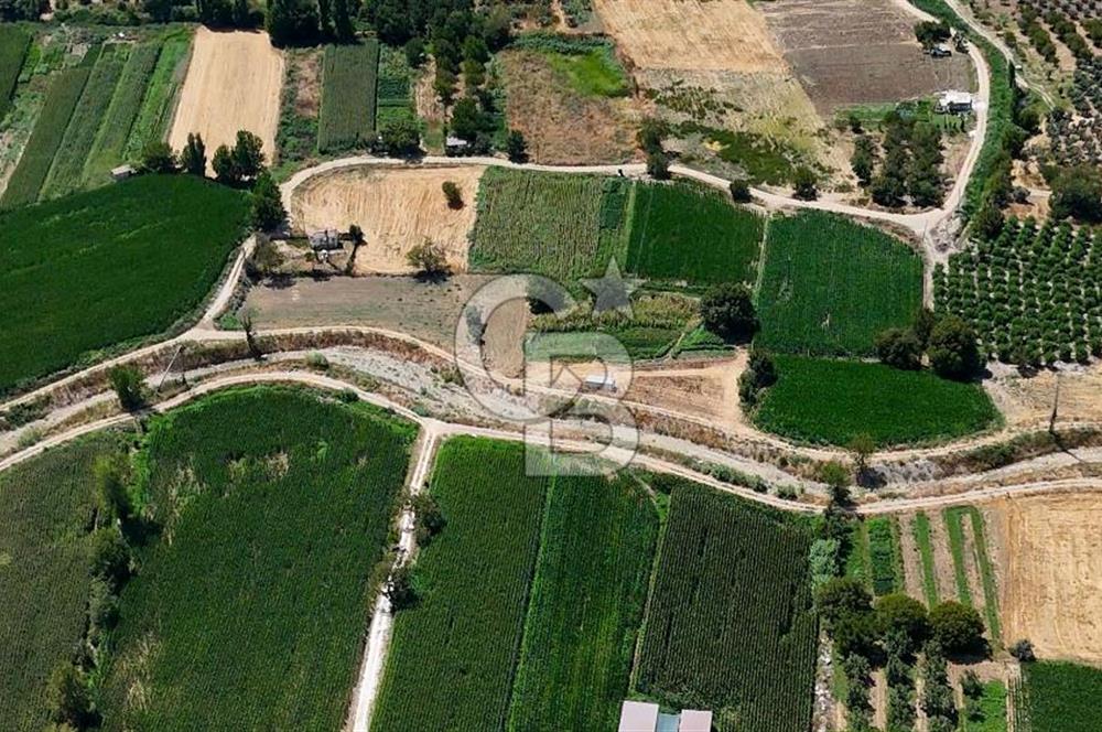 CB MARİNA'DAN YATAĞAN OVASINDA HOBİ BAHÇESİ FIRSAT SATILIK TARLA