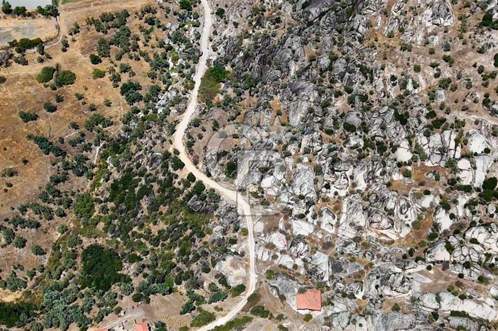 CB MARİNA'DAN HİSARARDI'NDA 19 DÖNÜM SATILIK "ZEYTİNLİK"
