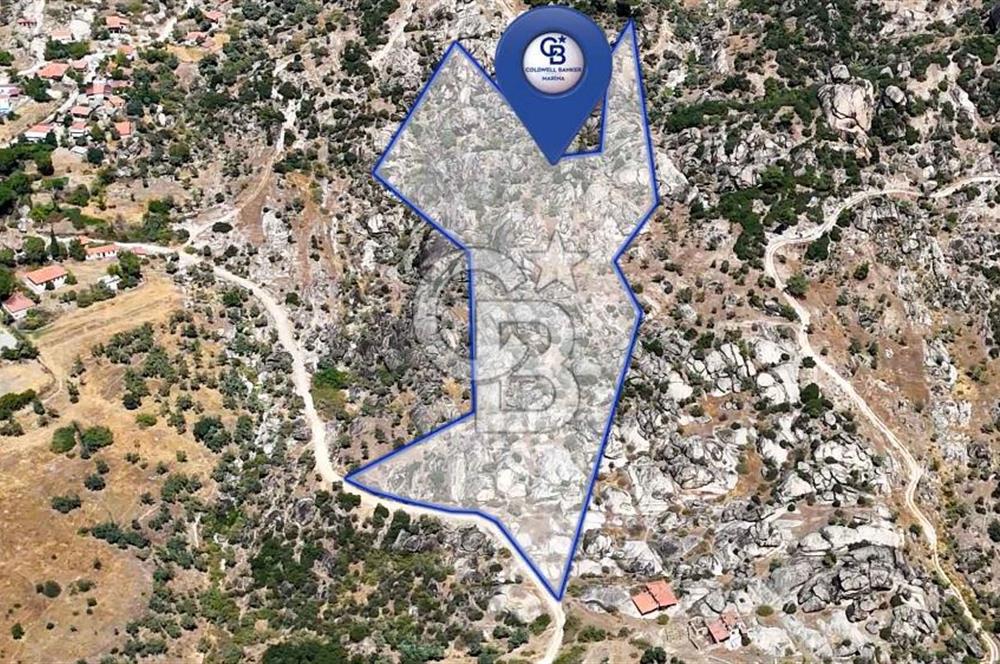 CB MARİNA'DAN HİSARARDI'NDA 19 DÖNÜM SATILIK "ZEYTİNLİK"