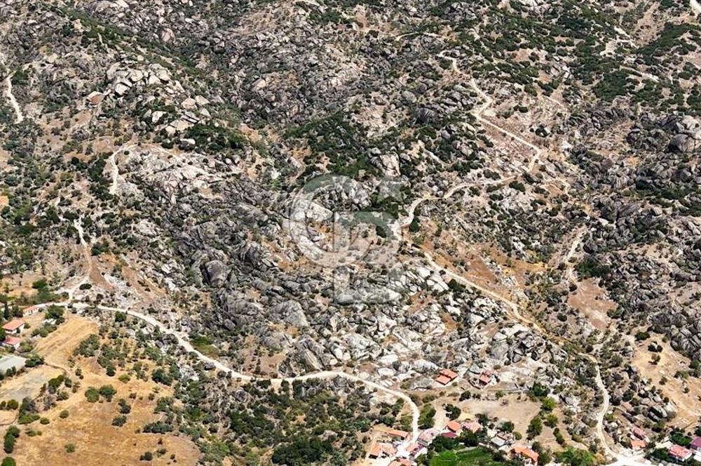 CB MARİNA'DAN HİSARARDI'NDA 19 DÖNÜM SATILIK "ZEYTİNLİK"