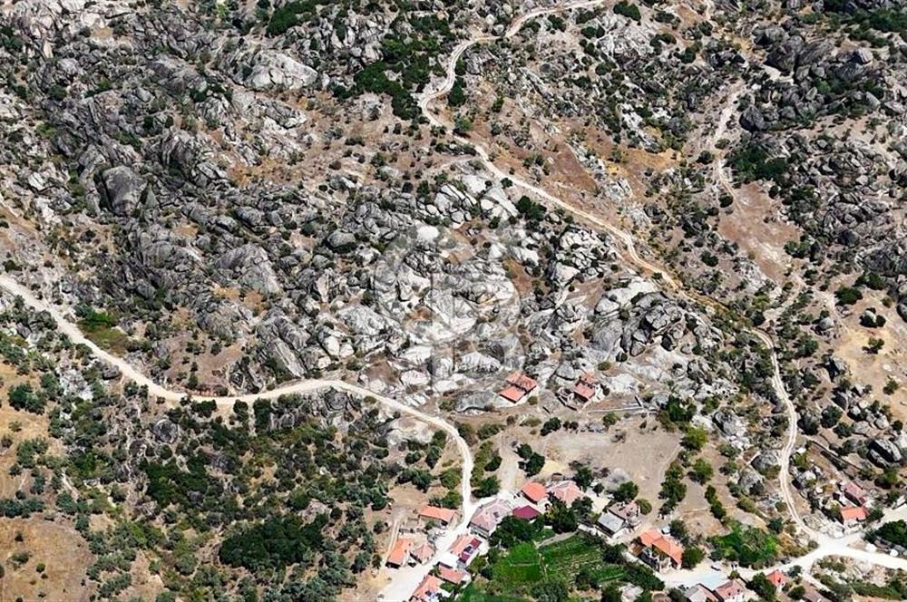 CB MARİNA'DAN HİSARARDI'NDA 19 DÖNÜM SATILIK "ZEYTİNLİK"