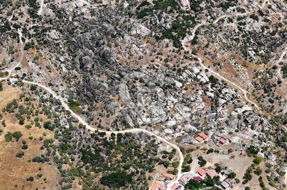 CB MARİNA'DAN HİSARARDI'NDA 19 DÖNÜM SATILIK "ZEYTİNLİK"