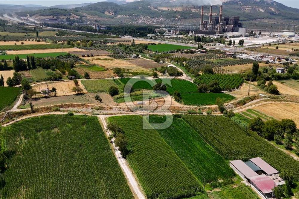 CB MARİNA'DAN YATAĞAN OVASINDA HOBİ BAHÇESİ FIRSAT SATILIK TARLA