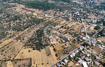 CB MARİNA'DAN BODRUM PINARLIBELEN'DE 6880 M2 SATILIK ZEYTİNLİK