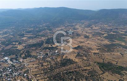 CB MARİNA'DAN BODRUM PINARLIBELEN'DE 6880 M2 SATILIK ZEYTİNLİK