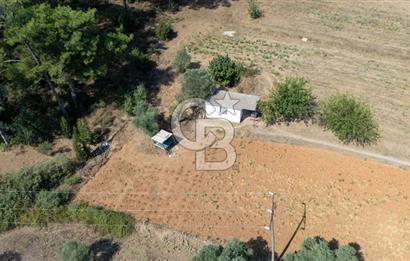 CB MARİNA'DAN BODRUM ETRİM'DE 7542 M2 SATILIK TARLA