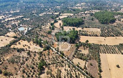 CB MARİNA'DAN BODRUM ETRİM'DE 7542 M2 SATILIK TARLA