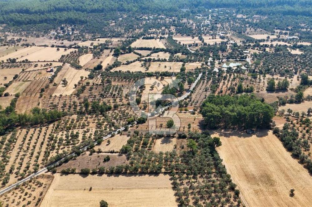 CB MARİNA'DAN BODRUM ETRİM'DE 7542 M2 SATILIK TARLA