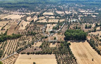 CB MARİNA'DAN BODRUM ETRİM'DE 7542 M2 SATILIK TARLA