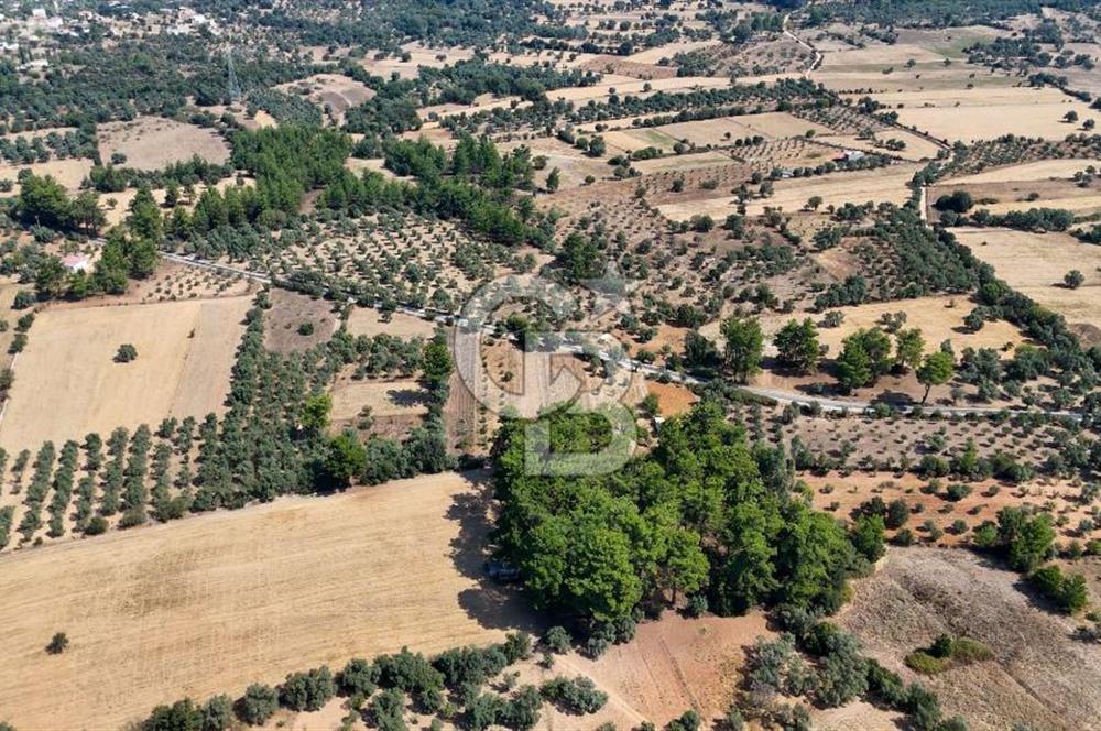 CB MARİNA'DAN BODRUM ETRİM'DE 7542 M2 SATILIK TARLA