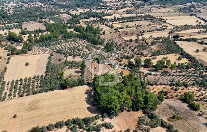 CB MARİNA'DAN BODRUM ETRİM'DE 7542 M2 SATILIK TARLA
