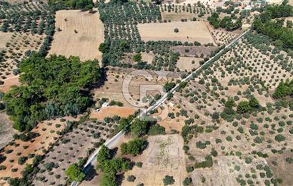 CB MARİNA'DAN BODRUM ETRİM'DE 7542 M2 SATILIK TARLA