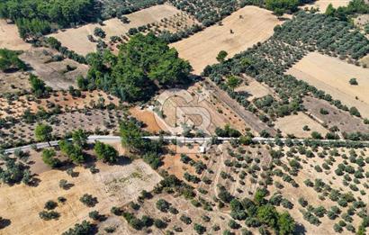 CB MARİNA'DAN BODRUM ETRİM'DE 7542 M2 SATILIK TARLA