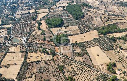 CB MARİNA'DAN BODRUM ETRİM'DE 7542 M2 SATILIK TARLA