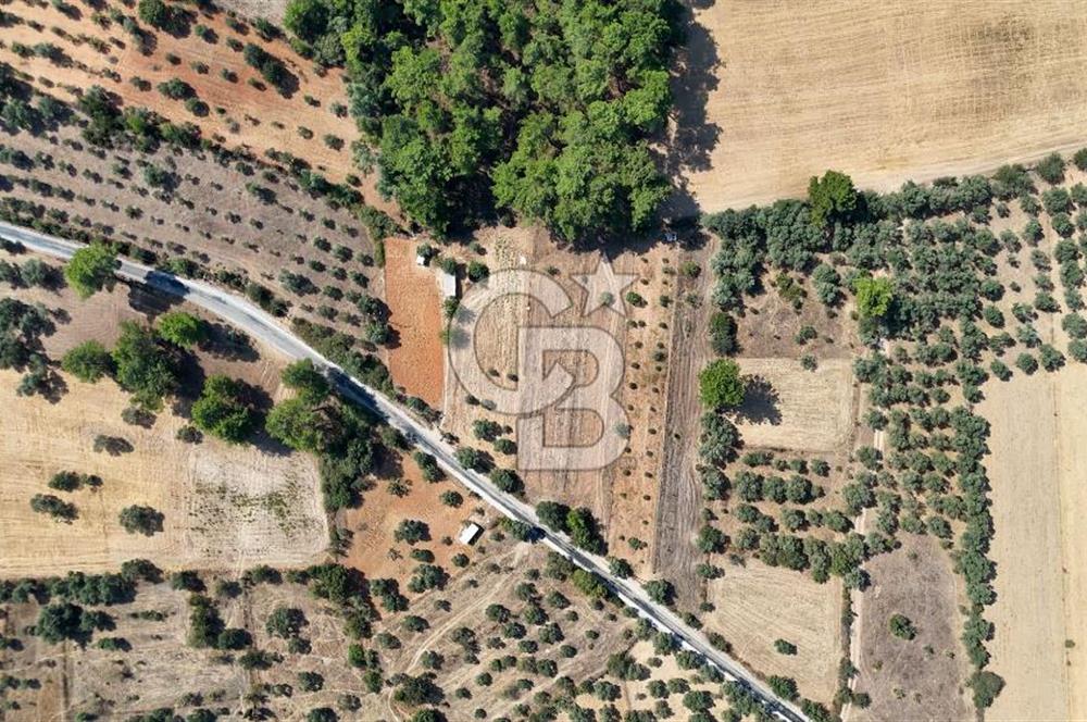 CB MARİNA'DAN BODRUM ETRİM'DE 7542 M2 SATILIK TARLA