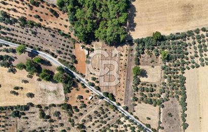 CB MARİNA'DAN BODRUM ETRİM'DE 7542 M2 SATILIK TARLA