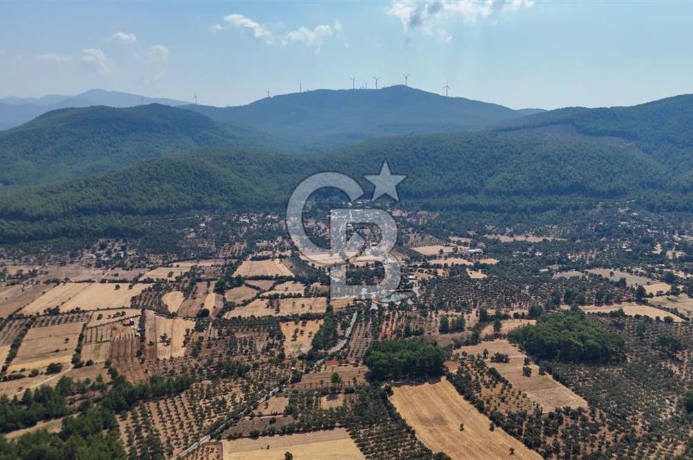 CB MARİNA'DAN BODRUM ETRİM'DE 7542 M2 SATILIK TARLA