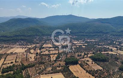 CB MARİNA'DAN BODRUM ETRİM'DE 7542 M2 SATILIK TARLA
