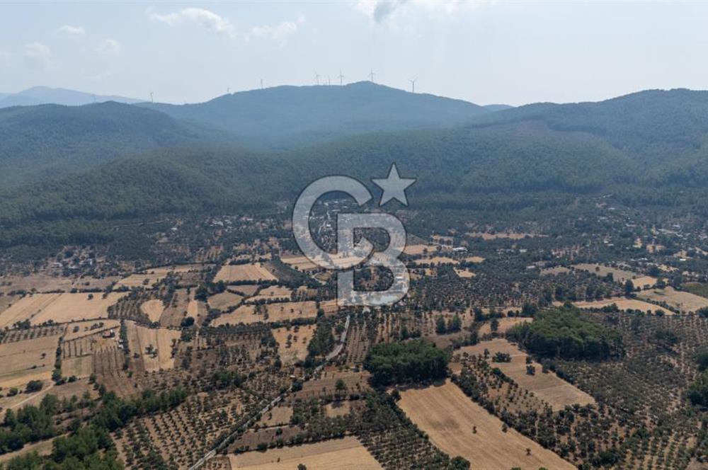CB MARİNA'DAN BODRUM ETRİM'DE 7542 M2 SATILIK TARLA