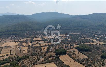 CB MARİNA'DAN BODRUM ETRİM'DE 7542 M2 SATILIK TARLA