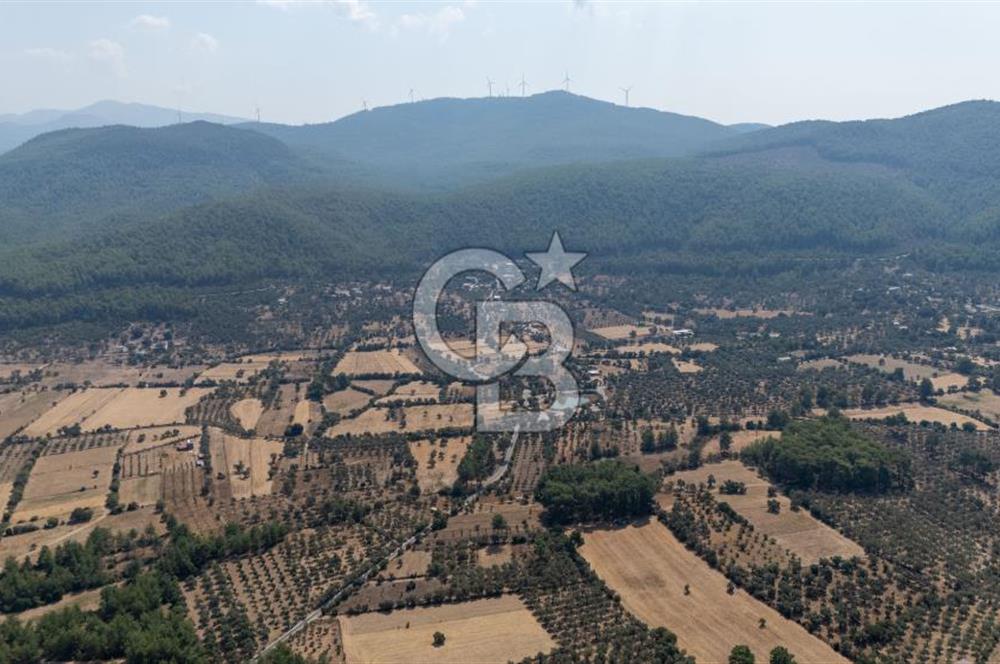 CB MARİNA'DAN BODRUM ETRİM'DE 7542 M2 SATILIK TARLA