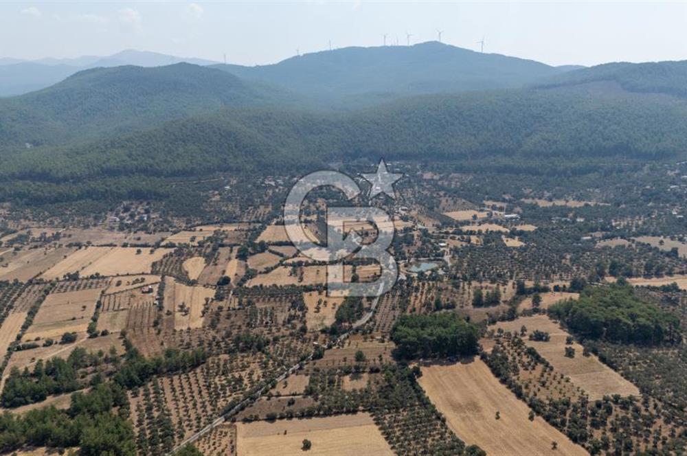 CB MARİNA'DAN BODRUM ETRİM'DE 7542 M2 SATILIK TARLA