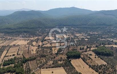 CB MARİNA'DAN BODRUM ETRİM'DE 7542 M2 SATILIK TARLA