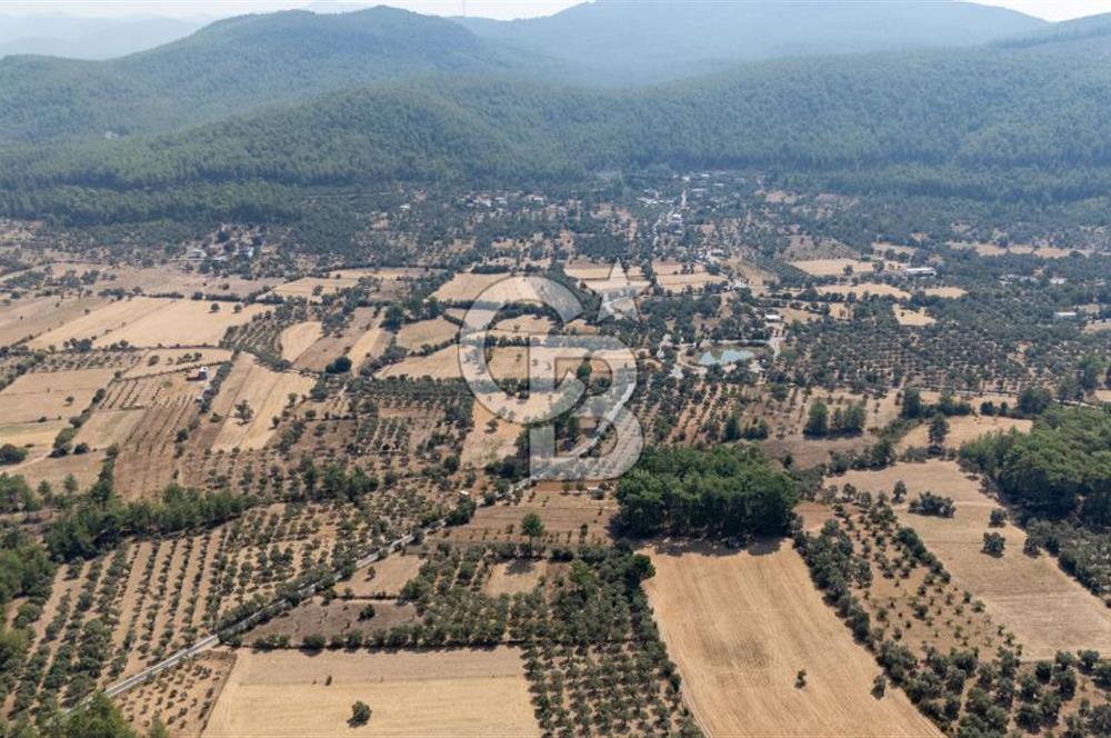 CB MARİNA'DAN BODRUM ETRİM'DE 7542 M2 SATILIK TARLA