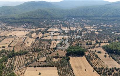 CB MARİNA'DAN BODRUM ETRİM'DE 7542 M2 SATILIK TARLA
