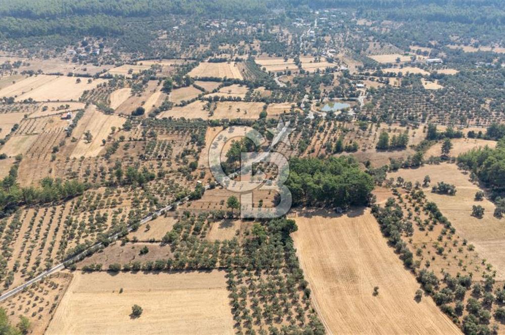 CB MARİNA'DAN BODRUM ETRİM'DE 7542 M2 SATILIK TARLA