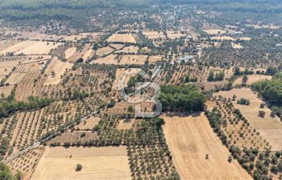 CB MARİNA'DAN BODRUM ETRİM'DE 7542 M2 SATILIK TARLA