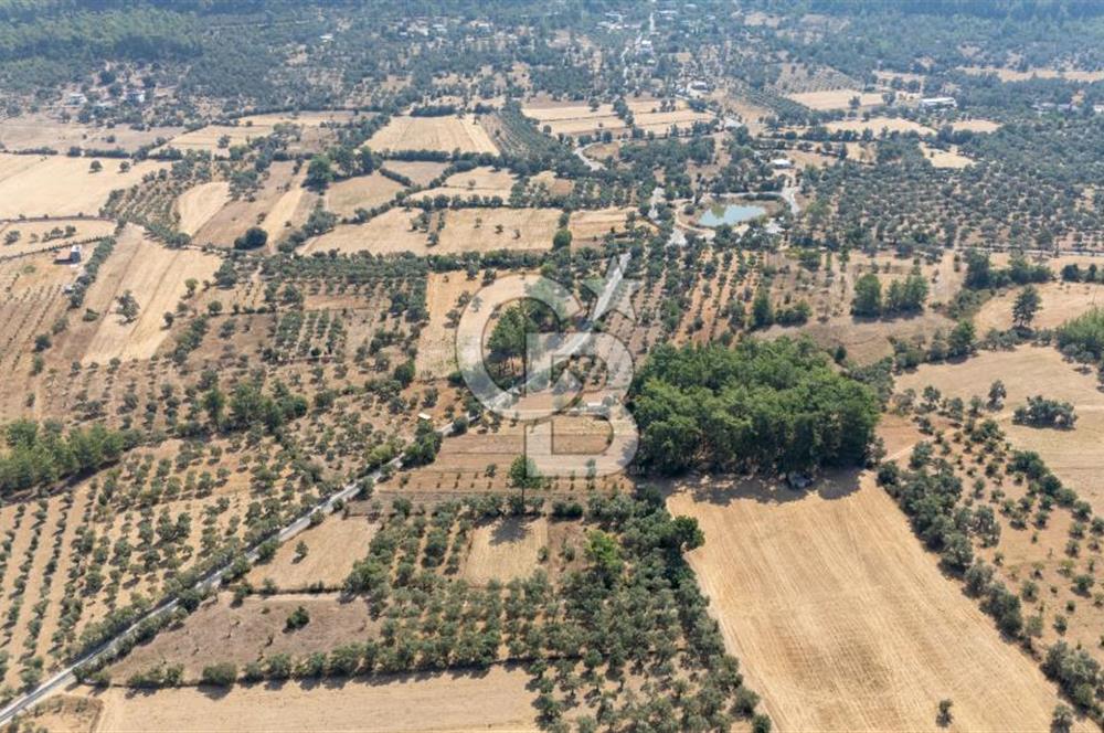 CB MARİNA'DAN BODRUM ETRİM'DE 7542 M2 SATILIK TARLA