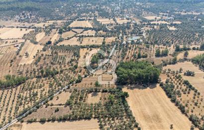 CB MARİNA'DAN BODRUM ETRİM'DE 7542 M2 SATILIK TARLA