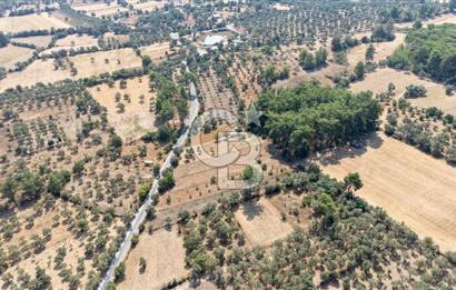 CB MARİNA'DAN BODRUM ETRİM'DE 7542 M2 SATILIK TARLA