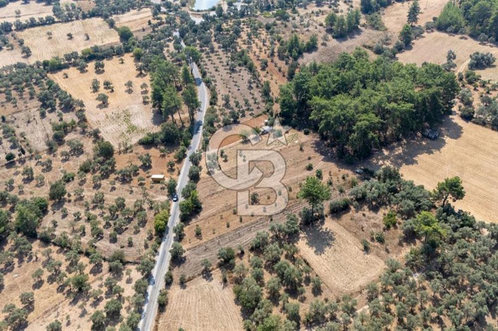 CB MARİNA'DAN BODRUM ETRİM'DE 7542 M2 SATILIK TARLA