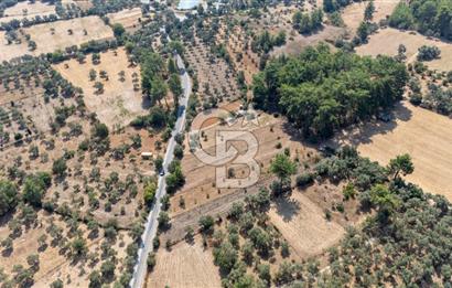 CB MARİNA'DAN BODRUM ETRİM'DE 7542 M2 SATILIK TARLA