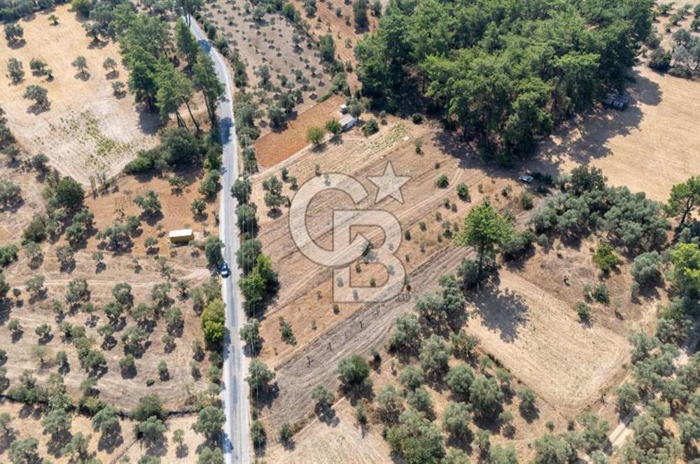 CB MARİNA'DAN BODRUM ETRİM'DE 7542 M2 SATILIK TARLA