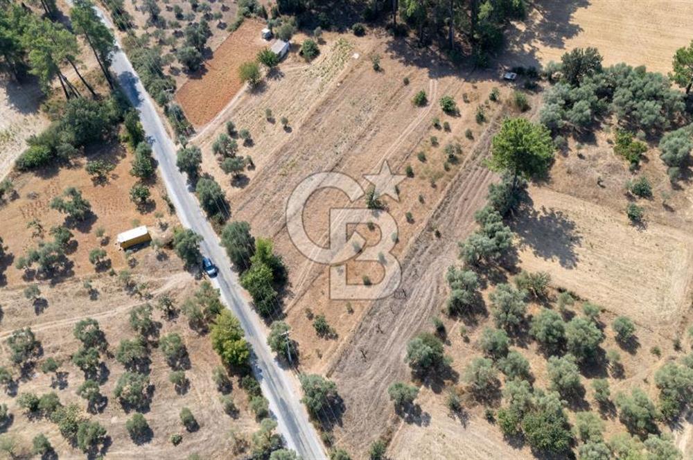 CB MARİNA'DAN BODRUM ETRİM'DE 7542 M2 SATILIK TARLA