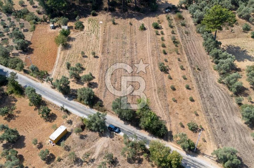 CB MARİNA'DAN BODRUM ETRİM'DE 7542 M2 SATILIK TARLA