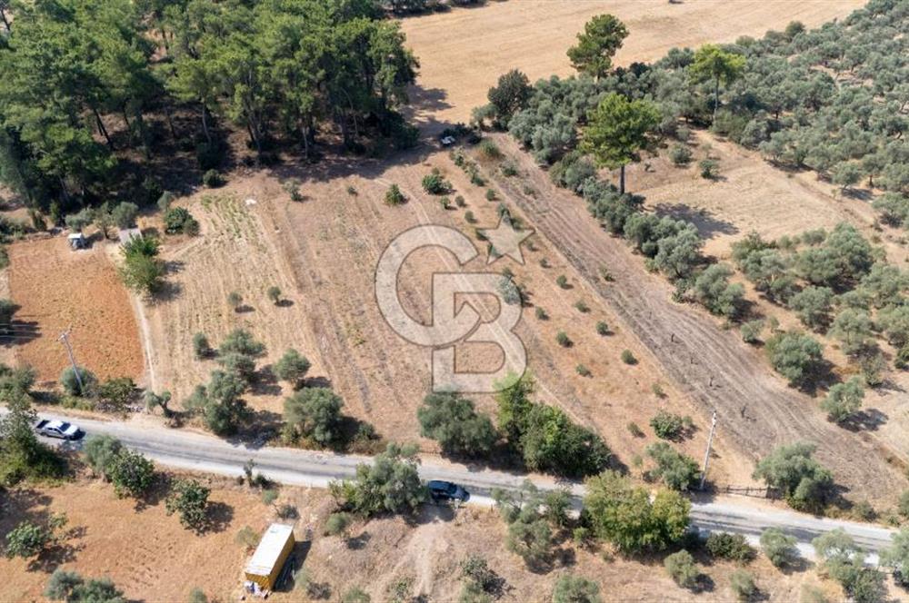 CB MARİNA'DAN BODRUM ETRİM'DE 7542 M2 SATILIK TARLA
