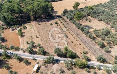 CB MARİNA'DAN BODRUM ETRİM'DE 7542 M2 SATILIK TARLA